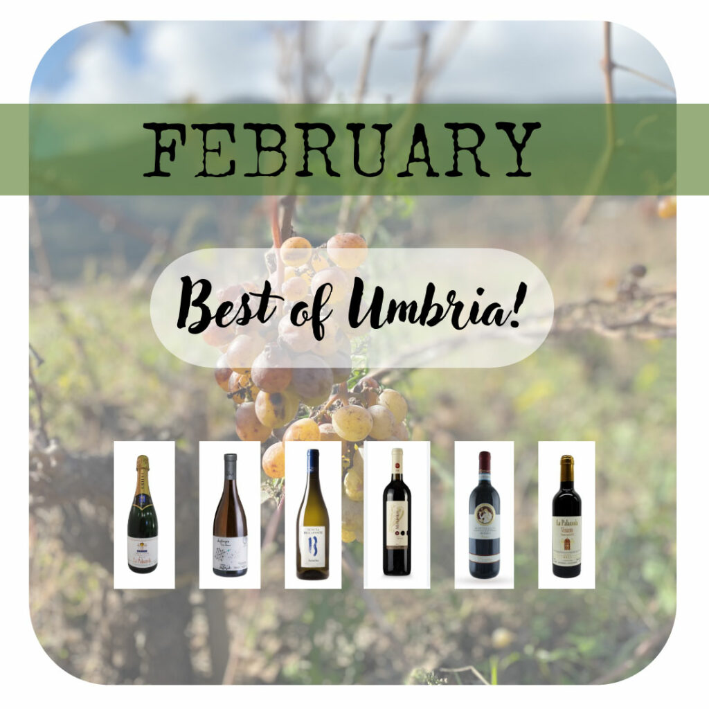 Gusto Wine Club - February wines